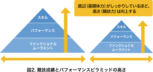 図2. 競技成績とパフォーマンスピラミッドの高さ