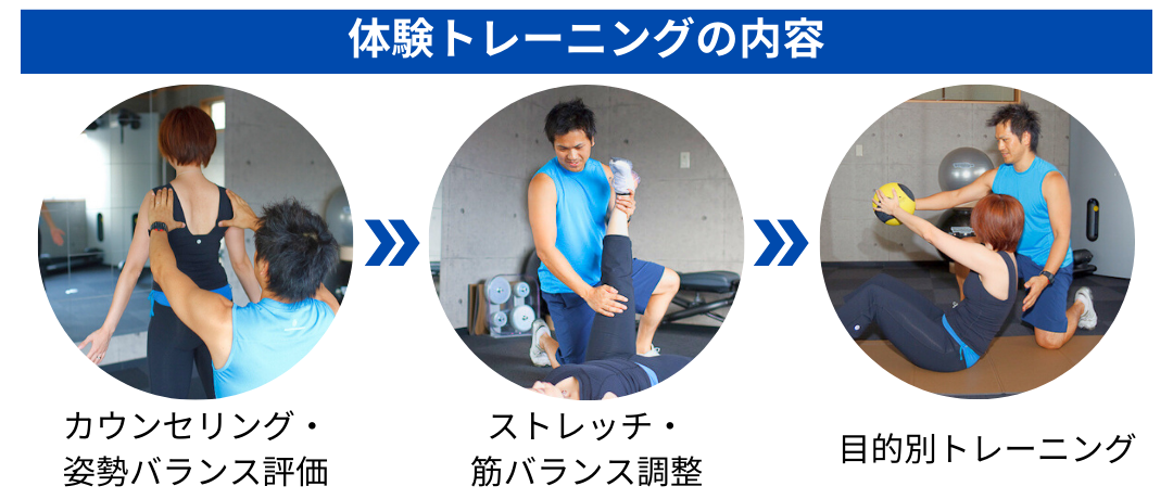 体験の内容